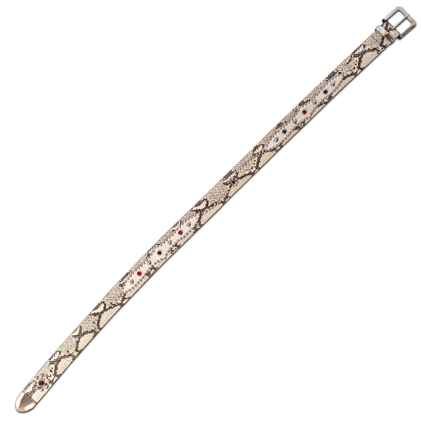 STUDDED SNAKESKIN BELT IN WHITE